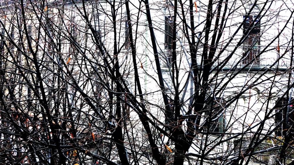 Fotografia del locale 5 di 10